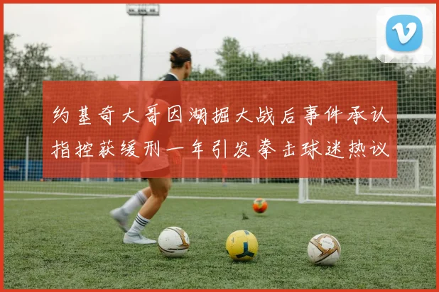 约基奇大哥因湖掘大战后事件承认指控获缓刑一年引发拳击球迷热议