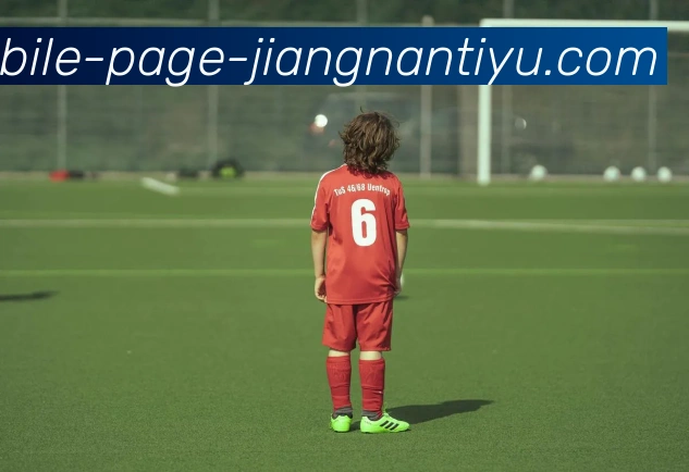 江南体育平台生态图