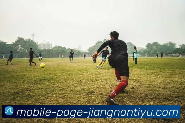 江南体育APP 封面图